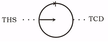 Imagen 5. Concepción cíclica y lineal del tiempo. TCD: Tiempo cósmico dominante, THS: Tiempo histórico subordinado.