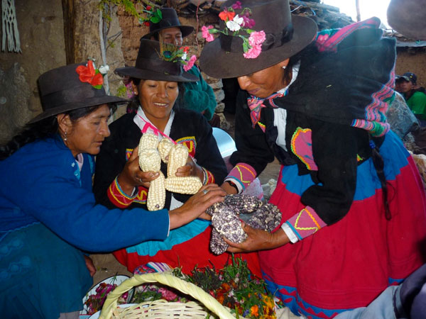Matrimonio en la comunidad de Hualla, preparación para el Pirwakuy, 2012