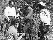Contenido y estructura. Lucha revolucionaria. Perú, 1958-1967
