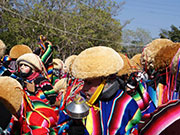 Sobre la salvaguarda de la música tradicional en México. Una reflexión desde la experiencia comunitaria en Chacalapa, Veracruz