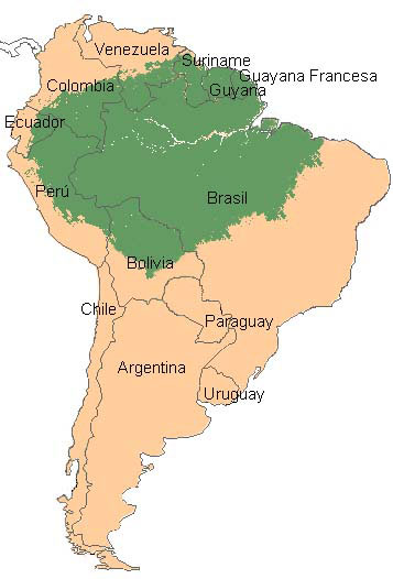 Imagen 6. La cuenca del Amazonas une a varios países sudamericanos
