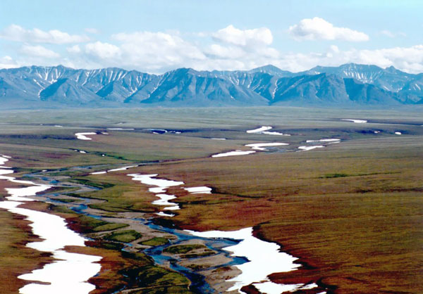 Tundra de Alaska