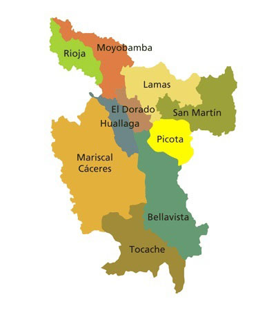 Mapa de la Región de San Martín con sus provincias
